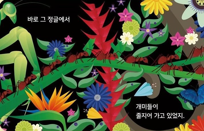 여기는 정글 본문 장면 — 정글 깊숙한 곳에서 개미들이 줄지어 가고 있네요. 커다란 사마귀는 그 개미들을 노려보고 있어요.